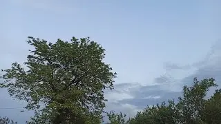 MY LIFE 🍃🌼/ часть №2 🤍