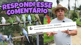 A CRIAÇÃO DE AVES É SÓ PRA RICO?