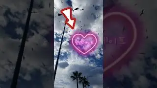 please subscribe 🙏🏻❤️.  #shots #shortsfeed #sky #birds #love #paris #nature