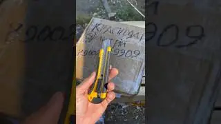 Двигаемся, Работаем, Зарабатываем! 