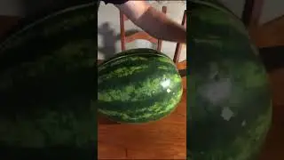 Essa é boa 