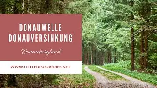 Wanderung DonauWelle Donauversinkung | Deutsches Harmonikamuseum in Trossingen I Donaubergland