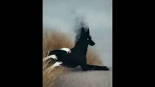 *SOLD* Josman x Laylow type beat ~ 