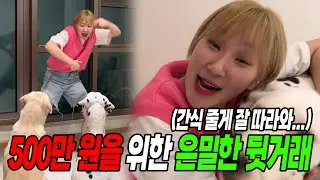 너 500만원때문에 우리집에서 사는거야..?