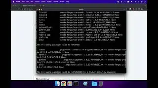 how to install mamba in conda base environment
