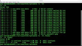 Admin/Hacking CrimeNet Initial Exploit