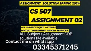 CS 507 Assignment 02 Solution Spring 2024
