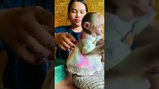 Nice dress #monkey #baby #shortvideo #love #cute