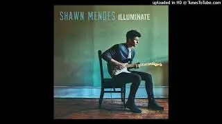 Shawn Mendes - There's Nothing Holdin' Me Back (PAL Pitched)