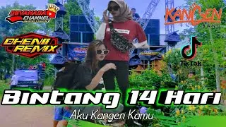 DJ BINTANG 14HARI KANGEN || DEVANADA CHANNEL X DHENI RMX