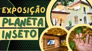 Conheça o PLANETA INSETO (Museu do Instituto Biológico de SP)