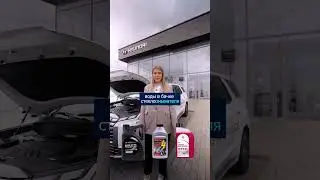 Собрались в путешествие?