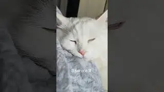 Главное поставить себе цель 😁