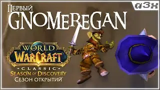 🔴 Gnomeregan (Гномреган) / ВТОРАЯ ФАЗА Season of Discovery WoW Classic – Стрим 51