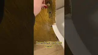 Волшебный сербский туалет #иммиграция #переездвевропу #релокация #сербия #эмиграция