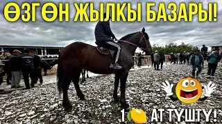 БҮГҮНКҮ БАЗАР 28 АПРЕЛЬ 2024 