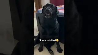 Hogya na kaala😏😨 #comedy #youtubeshorts #funny #comedyvideo