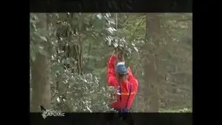 Parco Apuane (MB productions) - Natura