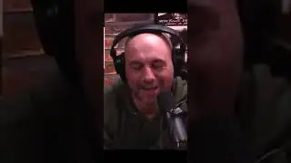 "I never wanted to be a fish.. my whole life.." Theo Von FUNNY Rogan Moment