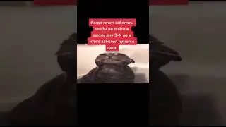 мем 