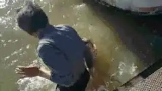 Foca killer
