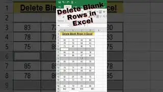 Delete Blank Rows in Excel 