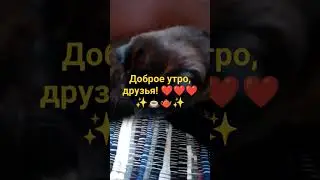 Доброе утро, друзья! 