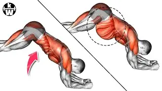 5 Minutes a Day, Your Waistline will Definitely Shrink.
