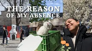 Life update | German Spring | House relocation 🌻🐻‍❄️🌳