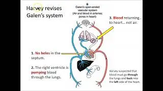 History of Physiology: William Harvey part 2