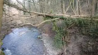 Die Düssel im Neandertal