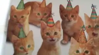 Kittens Singing Happy Birthday