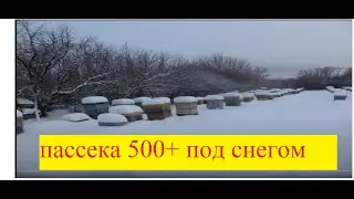 Пасека 500+В гостях у Прохорова Владимира Васильевича