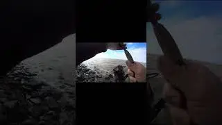 PESCANDO BAGRES GRANDES EN LUGAR ESCONDIDO 😱 #shorts