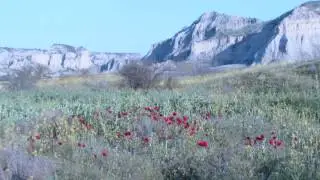Vashlovani National Park