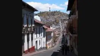 Olmedo Torres  - Verbenita