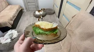 ВЛОГ // МОЁ УТРО