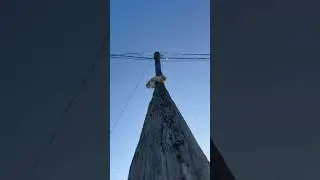 Приключения моего рыжего кота продолжаются 😂инст:aidarqo🔥