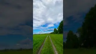 #relaxingmusic #meditationmusic #окунево #nature #природа #travel