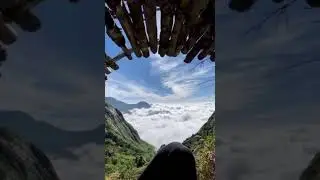 Nature New Video Beautiful 🤩 | Amazing nature must watch 🌳 | SP Cool 😎