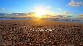 CODES 2022  | CÓDIGOS 2022 | КОДЫ 2022