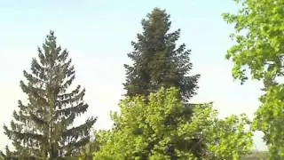 Путешествие в ваше будущее на три года вперёд. Медитация.