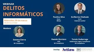 Webinar Delitos Informáticos