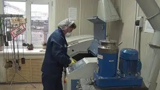 Международный день качества