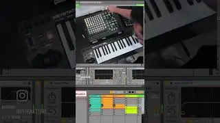 When the cyberpunk dark techno bassline hits just right - Ableton Live, Vital VST, APC40