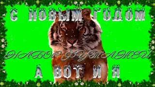 футаж набор футажей к новому году тигра 2022