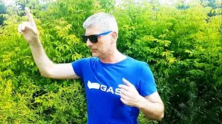 Образ-Ование. Игра в жизнь