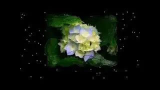 Claudio plays Sonata BWV 1021 by J.S.Bach