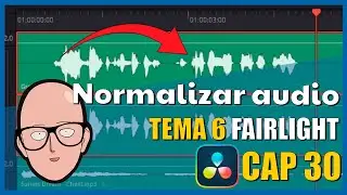 Normalize Audio in Davinci Resolve | Davinci Resolve Course Topic 06 Chapter 30