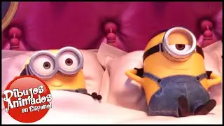 MINIONS en Español | Los Minions Pelicula | Dibujos Animados | caricaturas para niños